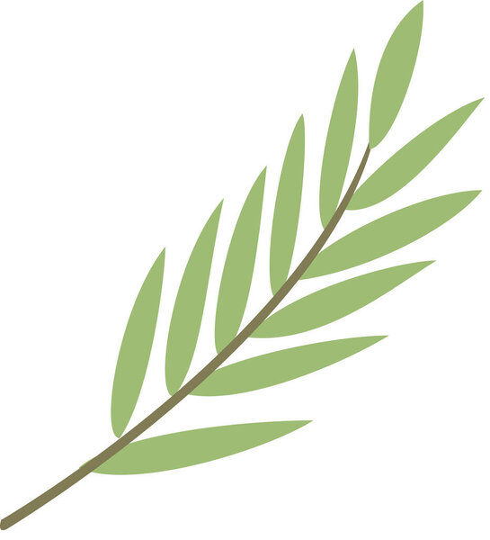 Простые листья ветвей, иллюстрации растений 