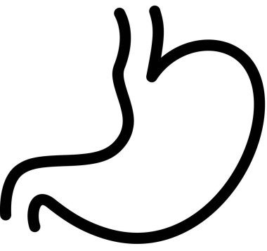 Beyaz arkaplanda mide simgesi izole edildi, vektör illüstrasyonu