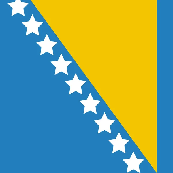 Flagge Von Bosnien Und Herzegowina Flache Ikone Vektorillustration — Stockvektor