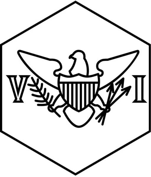 Flagge Der Jungfrau Vektor Illustration — Stockvektor