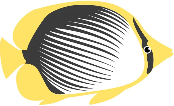 Blackback Schmetterling Fisch Symbol Vektorillustration — Stockvektor