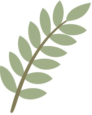 Basit dal yaprakları, illüstrasyon bitkisi 