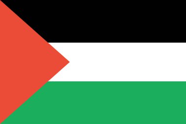 Filistin-Toprakları bayrağı, dünya bayrağı kavramı