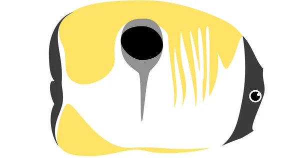 Ícone Gráfico Moderno Vetor Ilustração Mascote Teadrop Borboleta Peixe — Vetor de Stock
