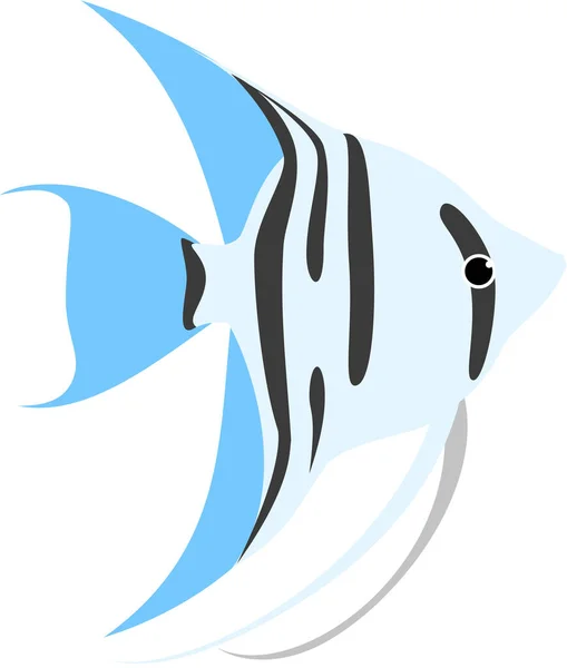 Modern Graphic Icon Vector Illustration Zebra Blue Angelfish — Stock Vector