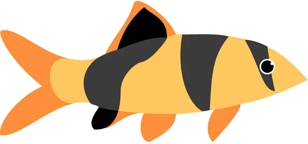 Moderne Grafische Icon Vektor Illustration Von Clownschmerzerfischen — Stockvektor