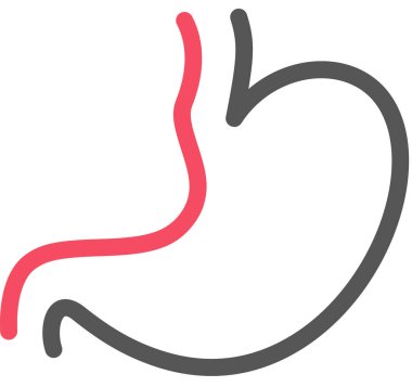 Beyaz arkaplanda mide simgesi izole edildi, vektör illüstrasyonu