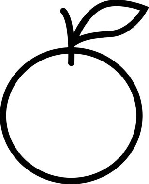 Turunçgil meyvesinin vektör çizimi