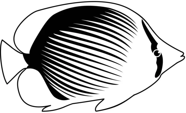 Ícone Gráfico Moderno Ilustração Vetorial Peixe Borboleta Blackback — Vetor de Stock