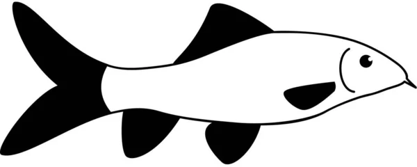 Moderne Grafische Icon Vektor Illustration Von Zweifarbigen Labeo Fischen — Stockvektor