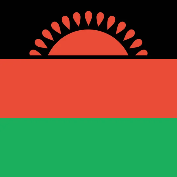 Bandeira Malawi Fundo Conceito Bandeira Mundial —  Vetores de Stock