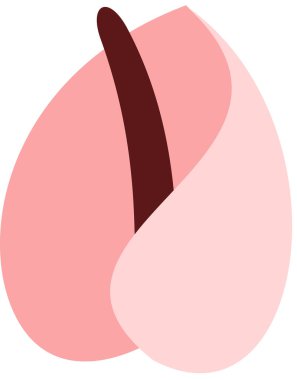 Çiçek süsleme vektör resimleme şablonu arka planı 