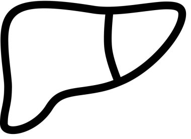 Beyaz arkaplanda karaciğer simgesi izole edildi, vektör illüstrasyonu