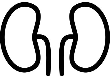 Beyaz arkaplanda böbrek simgesi izole edildi, vektör çizimi 