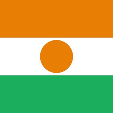 Nijer bayrağı, dünya bayrak temsilciliği