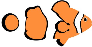 Palyaço balığının modern grafik ikon vektör çizimi 