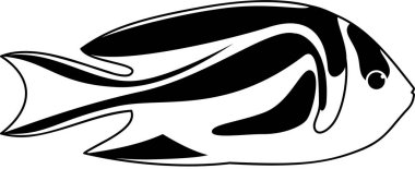 Bellus melek balığının modern grafik ikon vektör illüstrasyonu 