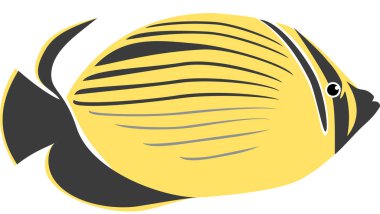 Maskot siyah kelebek balığının modern grafik ikon çizimi