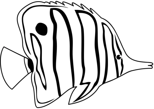 Modern Grafisk Ikon Vektor Illustration Maskot Kopparband Fjäril Fisk — Stock vektor