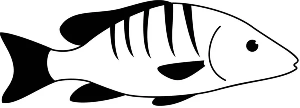 Moderna Icona Grafica Vettoriale Illustrazione Scuola Master Fish — Vettoriale Stock