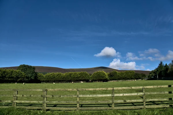 Klidná Irská Farma Zajatá Proti Wicklowským Horám Jasně Modré Obloze — Stock fotografie
