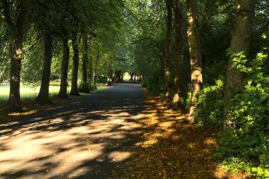 Düşen turuncu sonbahar yapraklı güzel yürüyüş yolu. Sabah gün ışığı. St. Stephen Green Park, Dublin, İrlanda.