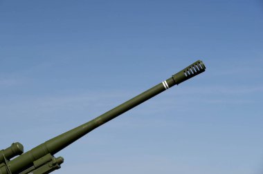 Yeşil topçu varil ile üzerine beyaz dekorasyon