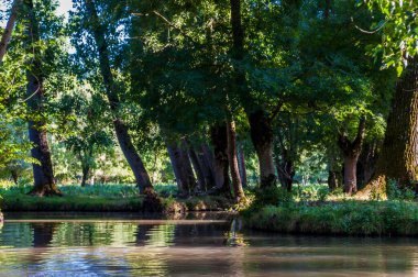 Poitevin bataklığı, Nouvelle-Aquitaine 'de Vende, Deux-Svres ve Charente-Maritime olmak üzere üç bölümü kapsar.