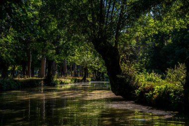 Poitevin bataklığı, Nouvelle-Aquitaine 'de Vende, Deux-Svres ve Charente-Maritime olmak üzere üç bölümü kapsar.