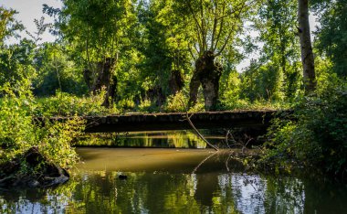 Poitevin bataklığı, Nouvelle-Aquitaine 'de Vende, Deux-Svres ve Charente-Maritime olmak üzere üç bölümü kapsar.