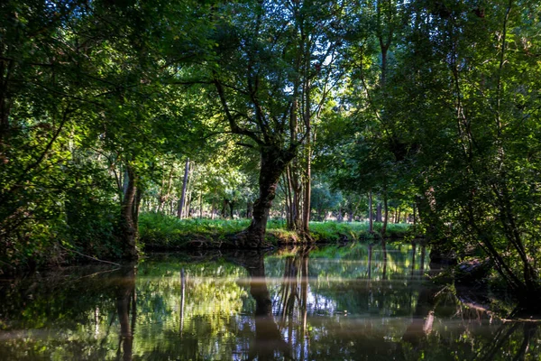 Poitevin bataklığı, Nouvelle-Aquitaine 'de Vende, Deux-Svres ve Charente-Maritime olmak üzere üç bölümü kapsar.
