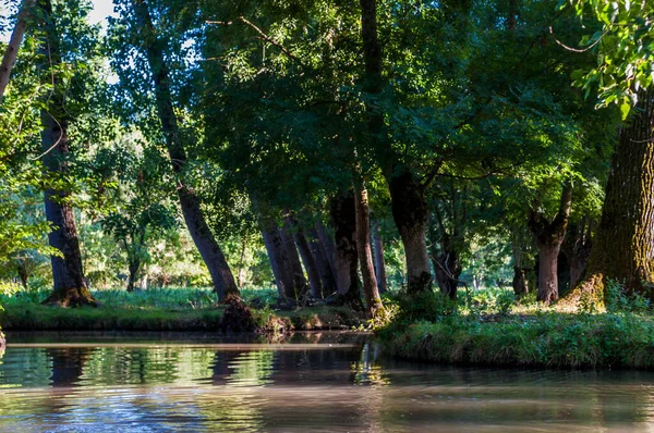 Poitevin bataklığı, Nouvelle-Aquitaine 'de Vende, Deux-Svres ve Charente-Maritime olmak üzere üç bölümü kapsar.
