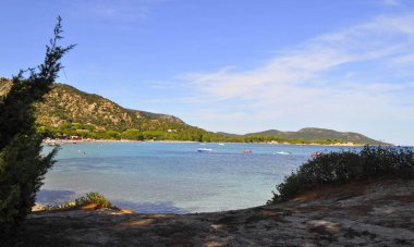 Palombaggia 'nın güzel kumlu plajı, Fransa' nın Korsika kentindeki Porto-Vecchio 'ya çok uzak değil.
