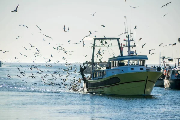 Balıkçı teknesinden döndüm..
