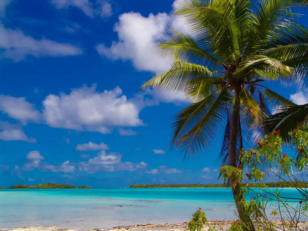 Blue Lagoon Παραλία Στην Ταϊτή Πολυνησία — Φωτογραφία Αρχείου