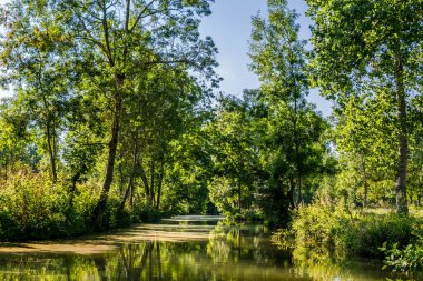 Poitevin bataklığı, Nouvelle-Aquitaine 'de Vende, Deux-Svres ve Charente-Maritime olmak üzere üç bölümü kapsar.