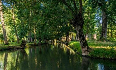 Poitevin bataklığı, Nouvelle-Aquitaine 'de Vende, Deux-Svres ve Charente-Maritime olmak üzere üç bölümü kapsar.
