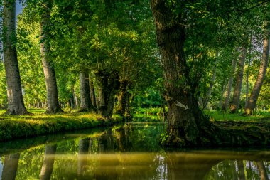 Poitevin bataklığı, Nouvelle-Aquitaine 'de Vende, Deux-Svres ve Charente-Maritime olmak üzere üç bölümü kapsar.