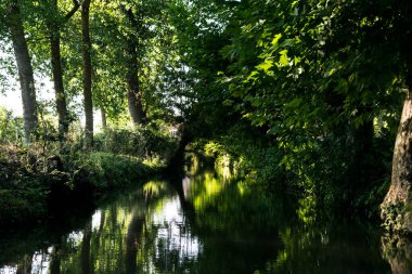 Poitevin bataklığı, Nouvelle-Aquitaine 'de Vende, Deux-Svres ve Charente-Maritime olmak üzere üç bölümü kapsar.