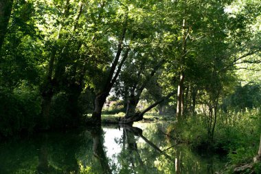 Poitevin bataklığı, Nouvelle-Aquitaine 'de Vende, Deux-Svres ve Charente-Maritime olmak üzere üç bölümü kapsar.