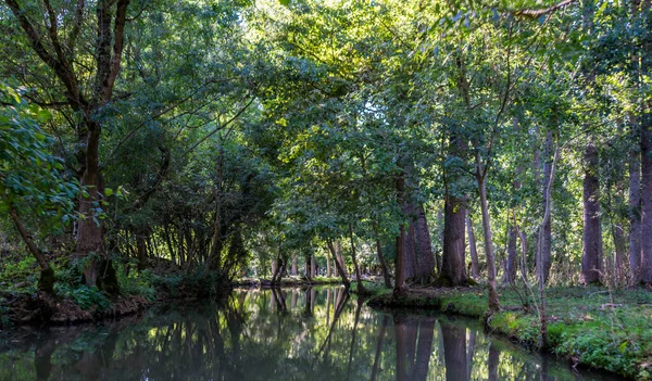 Poitevin bataklığı, Nouvelle-Aquitaine 'de Vende, Deux-Svres ve Charente-Maritime olmak üzere üç bölümü kapsar.
