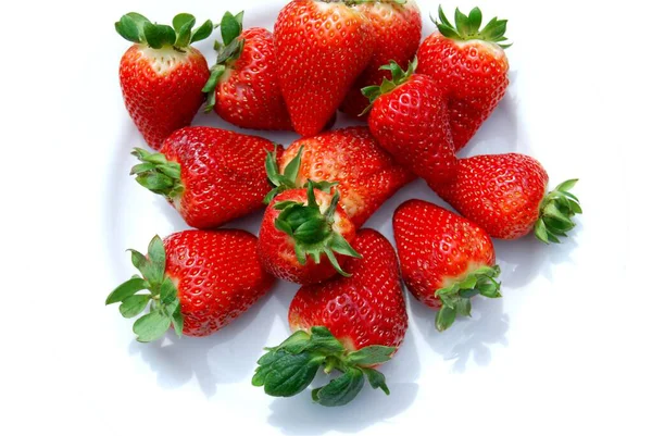 Strawberries Summer Fruit Sips Sun — Stock Photo, Image