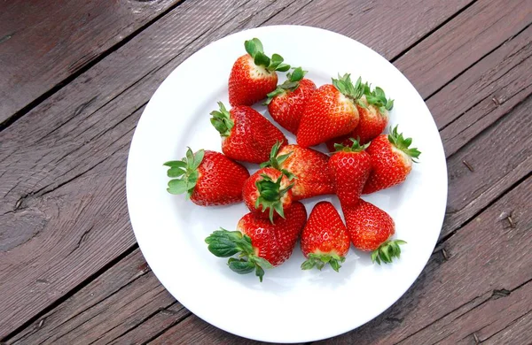 Strawberries Summer Fruit Sips Sun — Stock Photo, Image