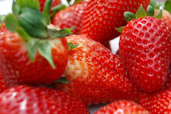 Strawberries Summer Fruit Sips Sun — Stock Photo, Image