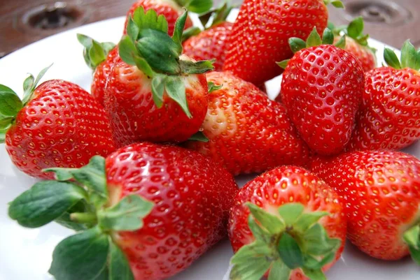 Strawberries Summer Fruit Sips Sun — Stock Photo, Image