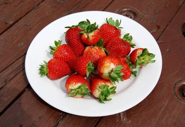 Strawberries Summer Fruit Sips Sun — Stock Photo, Image