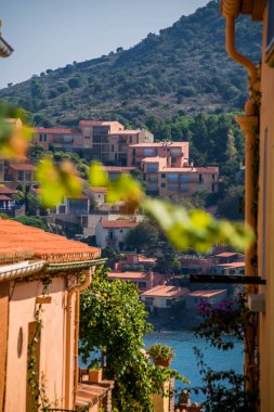 Collioure, Verille sahilindeki sahil kasabası, Akdeniz, Occitanie, Fransa.