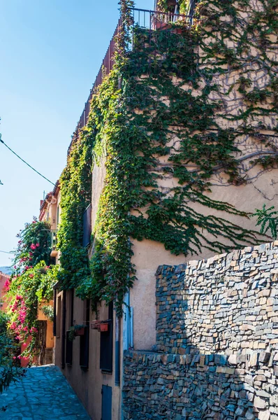 Collioure Ville Balnéaire Bord Vermeille Méditerranée Occitanie France — Photo