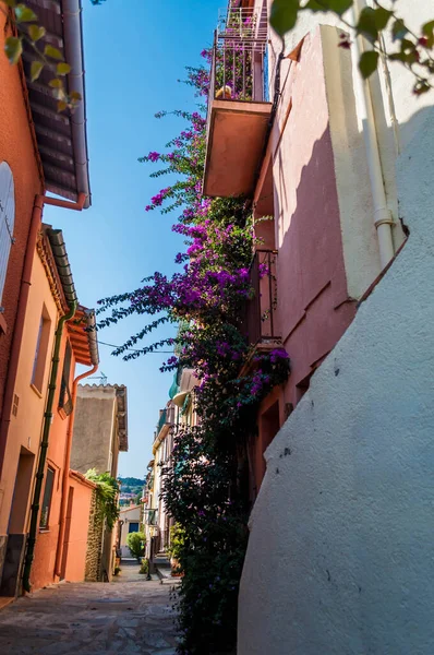 Collioure Nadmorskie Miasteczko Wybrzeżu Vermeille Basenie Morza Śródziemnego Occitanie Francja — Zdjęcie stockowe