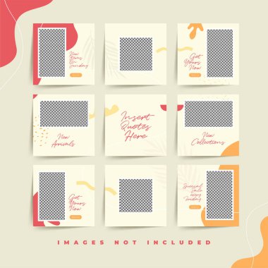 Moda kadınsı ürün reklam prim vektörü için modaya uygun sosyal medya bulmacası gönderme şablonu